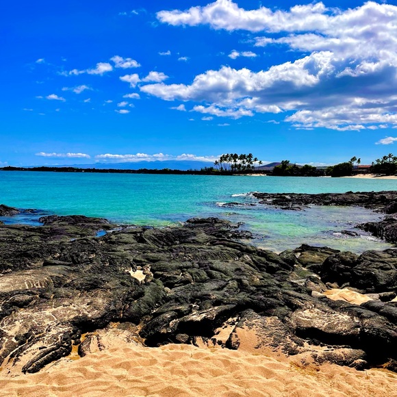 Meet your Posher, Alia - Picture 5 of 6